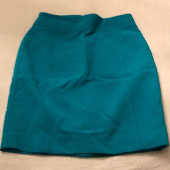 Ann Taylor Loft Skirt - Picture 1 of 3